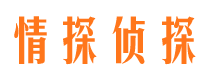 商城市婚姻调查